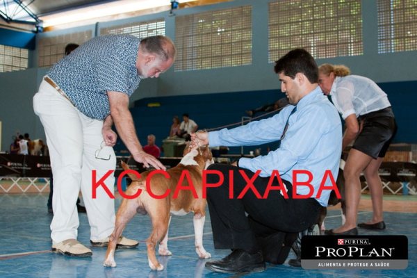 Clique sobre a foto para fechar